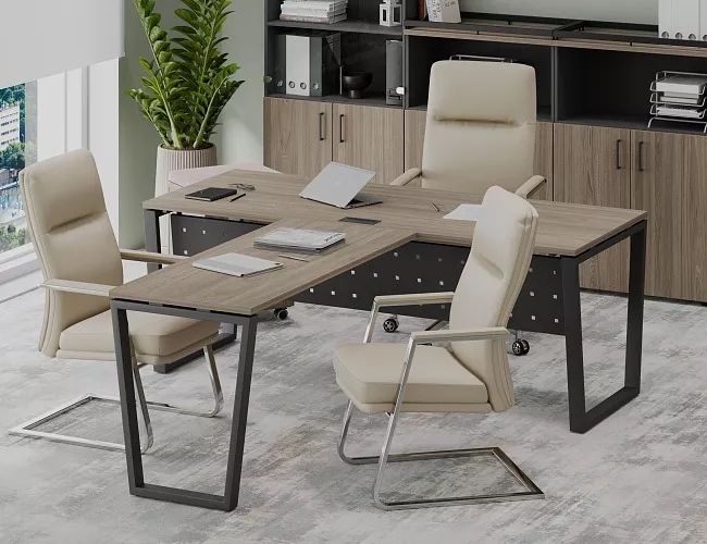 фото кабинет Проджект Вяз Т №4