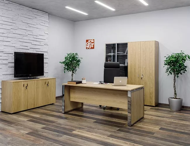 фото кабинет Экзе Дуб №4