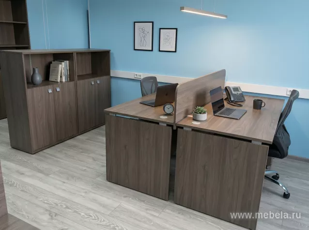 офисная мебель Стайл Вяз
