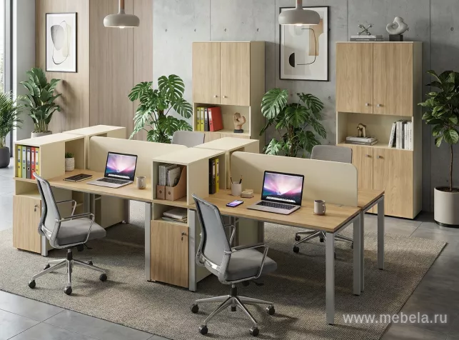 мебель для офиса Рио