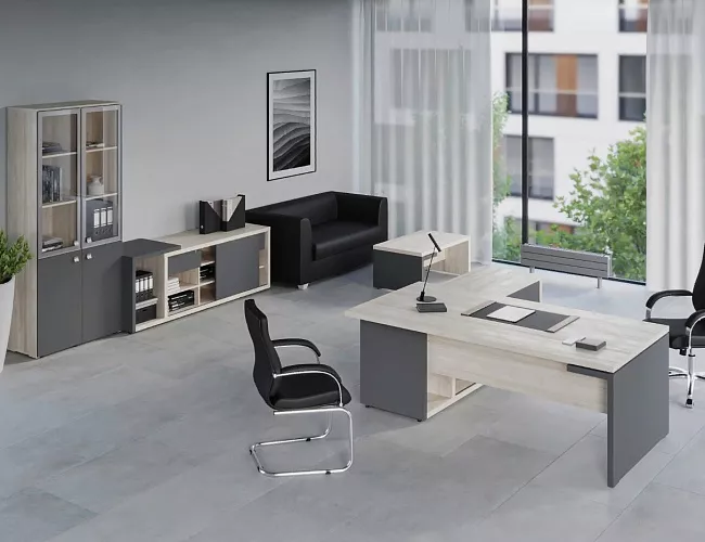 фото кабинет Зион Шамони №5