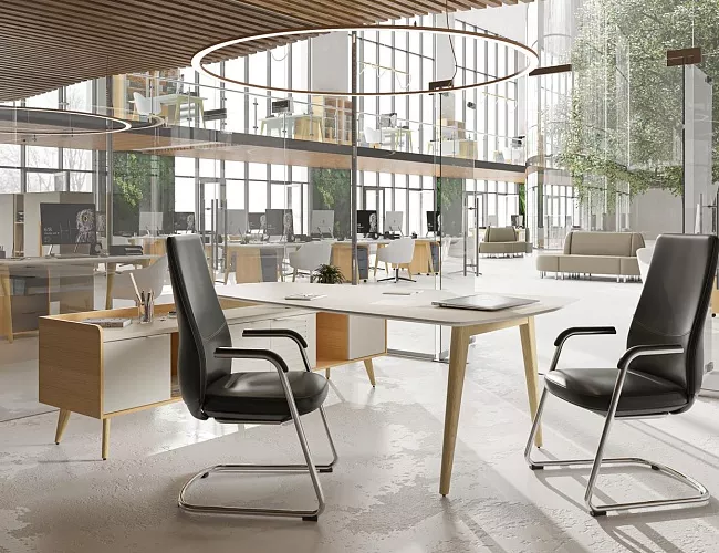 фото кабинет Ремо Белый №2