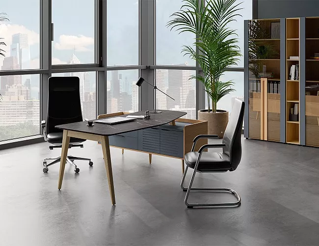 фото кабинет Ремо №5