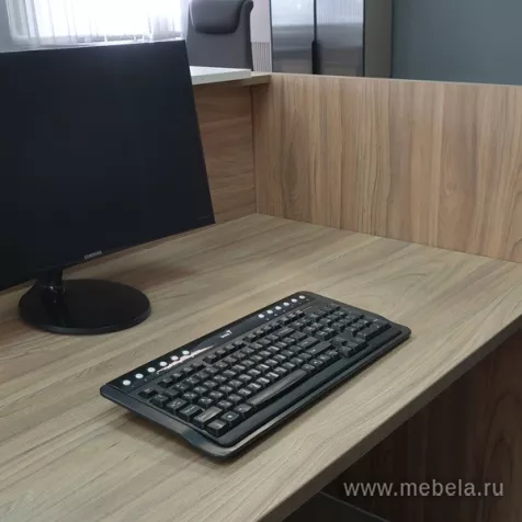 ресепшн Рио вяз