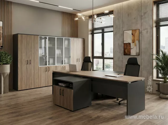 мебель Проджект Вяз