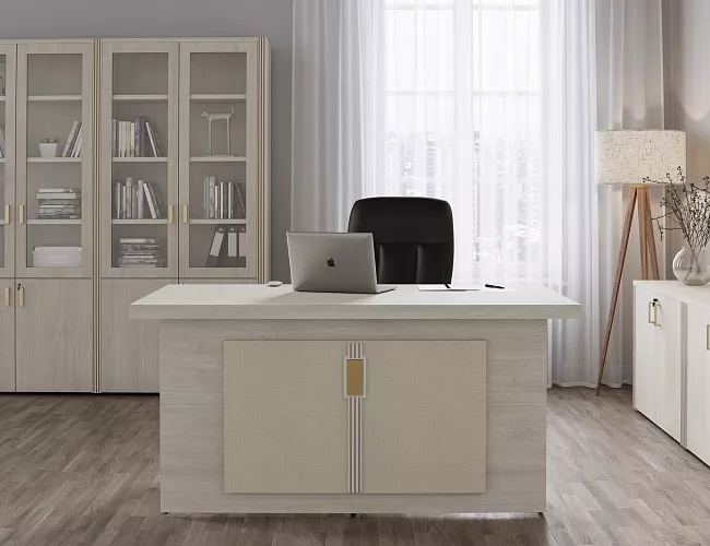 фото кабинет Чикаго Шамони №2