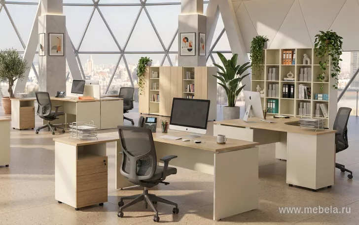 мебель для офиса Рио
