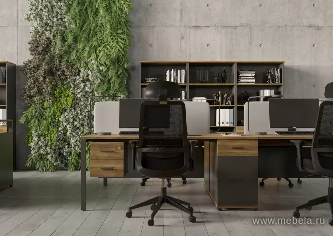 мебель Концепт