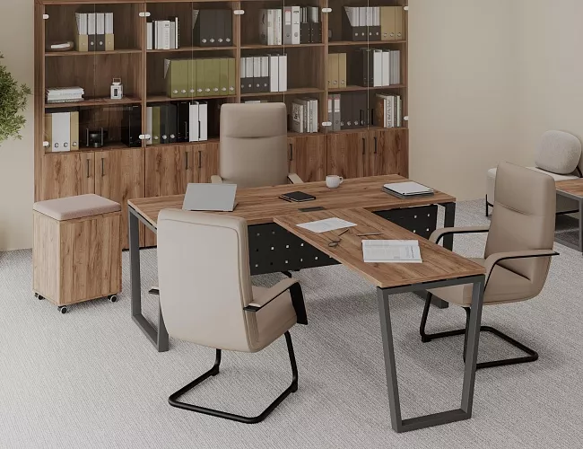 фото кабинет Проджект Дуб Т №4