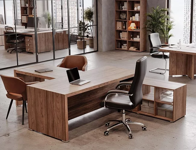 фото кабинет Солид Орех