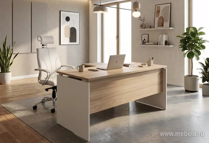 мебель для офиса Рио