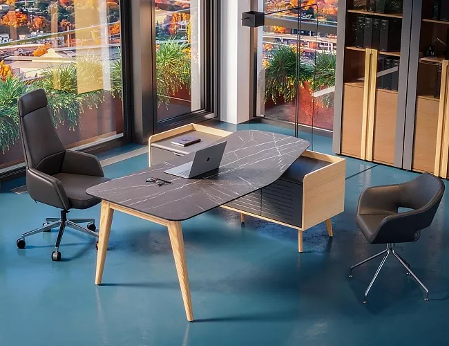 фото кабинет Ремо