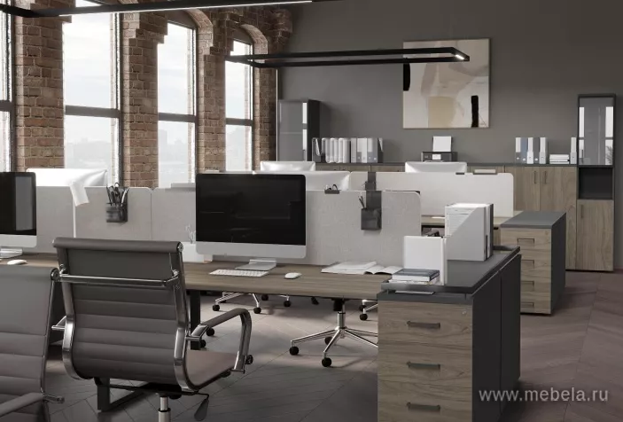 мебель Проджект Вяз