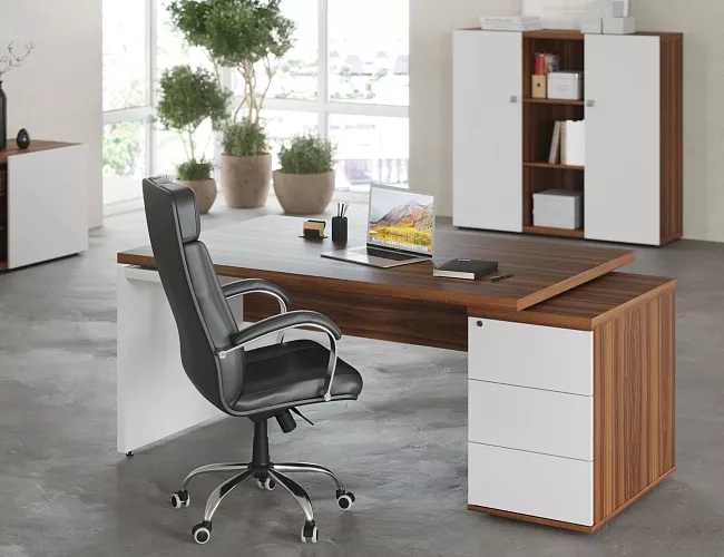 фото кабинет Зион Орех №3