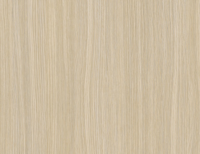 фото кабинет Бонн Феррара №4