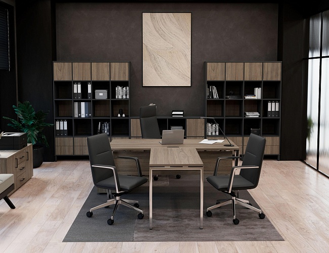 фото кабинет Проджект Люкс Вяз №2