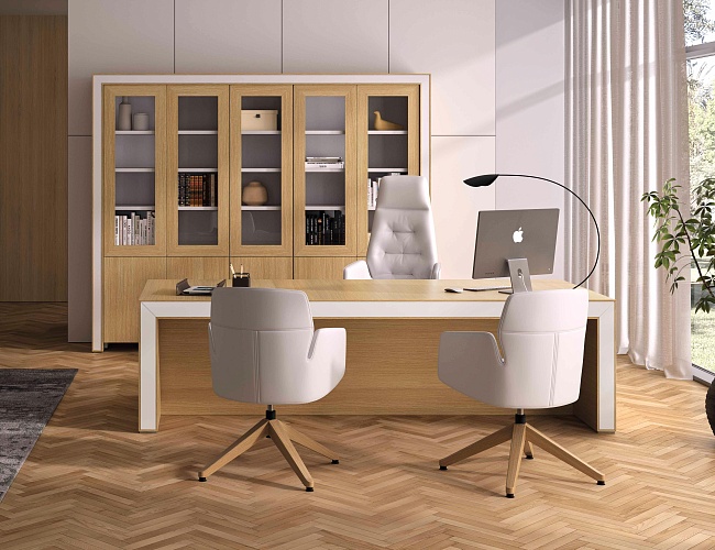 фото кабинет Белеса №5