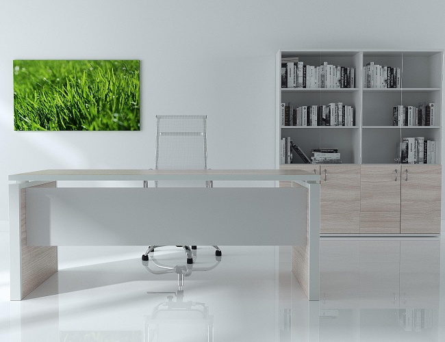 фото кабинет Стил Эво №4