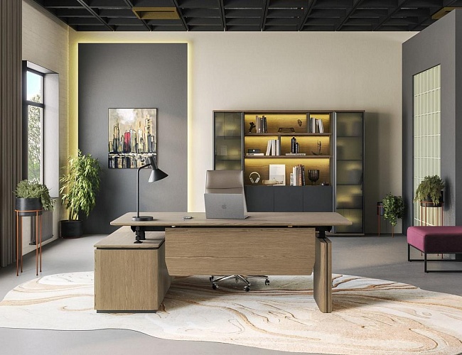 фото Кабинет руководителя Ион №3