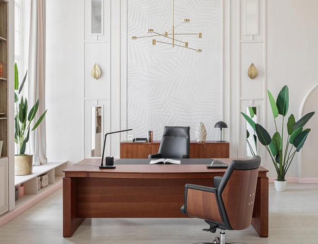 фото кабинет Лаго Орех №5