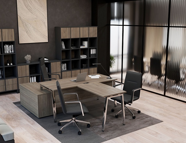 фото кабинет Проджект Люкс Вяз №5