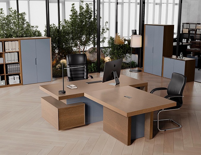 фото кабинет Концепт