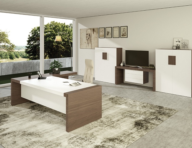 фото кабинет руководителя Кио №5