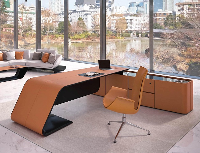 фото кабинет Бугатти Эко