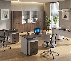 офисная мебель Эво