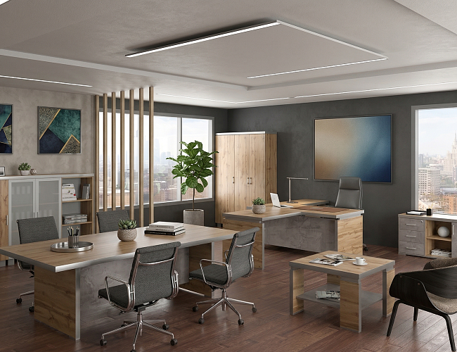 фото кабинет директора Турин №5